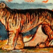 William Blake's rendition of "The Tyger"